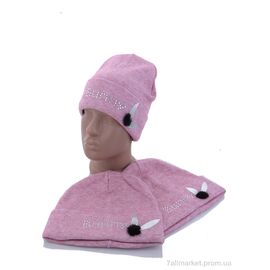 Шапка дитяча Зима KA979 mix фліс (3 шт. р.сітка48-52) "Red Hat" недорого оптом від прямого постачальника