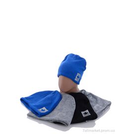 Шапка дитяча Зима KA978 mix фліс (5 шт. р.сітка48-52) "Red Hat" недорого оптом від прямого постачальника