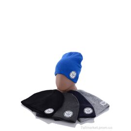 Шапка дитяча Зима KA970 mix фліс (5 шт. р.сітка48-52) "Red Hat" недорого оптом від прямого постачальника