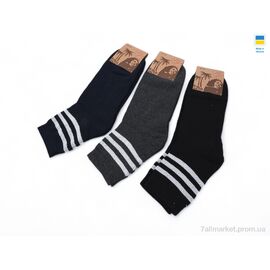 Фотография Носки для мужчин Зима T123 mix (12 шт. р.сетка 42-45) "Textile" недорого оптом от прямого поставщика