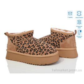 Фотография Угги женские утепленные зима M6119-16 camel-leopard (8 пар р.36-40) "Violeta" недорого оптом от прямого поставщика