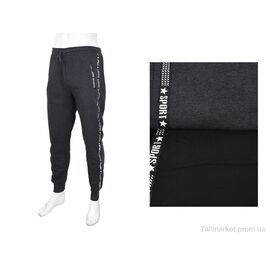 Фотография Спортивные брюки мужские Зима 3820-6121-144 mix (12 шт. р.сетка L-3XL) "Мир" недорого оптом от прямого поставщика
