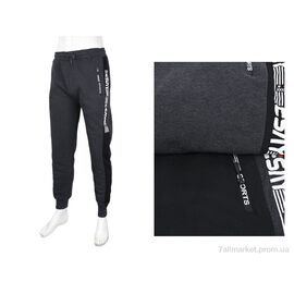 Фотография Спортивные брюки мужские Зима 3823-6124-144 mix (12 шт. р.сетка L-3XL) "Мир" недорого оптом от прямого поставщика