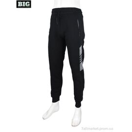 Фотография Спортивные брюки мужские Зима CS404-1-150 black (5 шт. р.сетка L-4XL) "BIG" недорого оптом от прямого поставщика