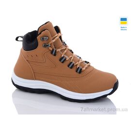 Фотография Ботинки женские стильные зима 6645-3 (8 пар р.36-41) "Swin" недорого оптом от прямого поставщика