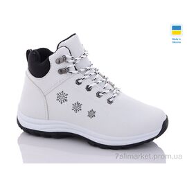 Фотография Ботинки женские стильные зима 6648-2 (8 пар р.36-41) "Swin" недорого оптом от прямого поставщика