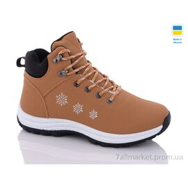 Фотография Ботинки женские стильные зима 6648-3 (8 пар р.36-41) "Swin" недорого оптом от прямого поставщика