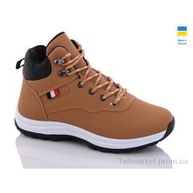 Фотография Ботинки женские стильные зима 6652-3 (8 пар р.36-41) "Swin" недорого оптом от прямого поставщика