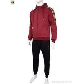 Спортивний костюм чоловічий Весна/осінь 3838-01-3 bordo (5 шт. р.сіткаL-4XL) "BIG" недорого оптом від прямого постачальника