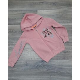 Фотография Кофта детская спортивная тёплая на девочку IB31 pink р.5-8 "iBamBino" недорого оптом от прямого поставщика