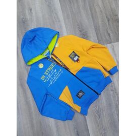Кофта дитяча спортивна тепла на хлопчика IB36 l.blue р.5-8 "iBamBino" недорого оптом від прямого постачальника