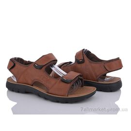 Фотография Сандалии мужские летние Лето A888 brown (8 пар р.40-45) "Baolikang" недорого оптом от прямого поставщика