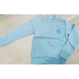 Фотография Гольф детский на мальчика IB37 l.blue р.6-15 "iBamBino" недорого оптом от прямого поставщика