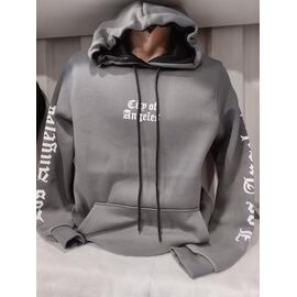 Фотография Худи мужской 1487 grey р.S-2XL "RING" недорого оптом от прямого поставщика