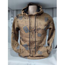 Фотография Худи мужской 1500 brown р.S-2XL "RING" недорого оптом от прямого поставщика