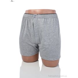 Труси Весна/осінь GR275 grey (2XL) (1 шт. р.сіткаOne size) "NOVA VIDNOVA" недорого оптом від прямого постачальника