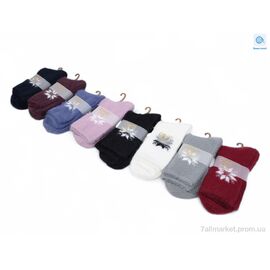 Фотография Носки женские Зима T207 mix (12 шт. р.сетка 37-41) "Textile" недорого оптом от прямого поставщика