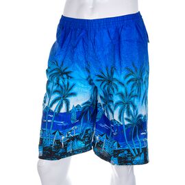 Фотография Шорты мужские 0081-7 blue р.48-56 "Meisty" недорого оптом от прямого поставщика