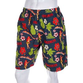 Шорти чоловічі 120540 blue р.M-2XL "Meisty" недорого оптом від прямого постачальника