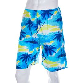 Фотография Шорты мужские 777-1 blue р.48-54 "Meisty" недорого оптом от прямого поставщика