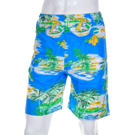 Фотография Шорты мужские 777-4 blue р.48-54 "Meisty" недорого оптом от прямого поставщика