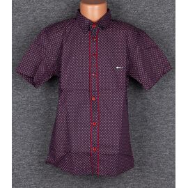 Фотография Рубашка детская лёгкая на мальчика D4 wine р.7-12 "Logaster" недорого оптом от прямого поставщика