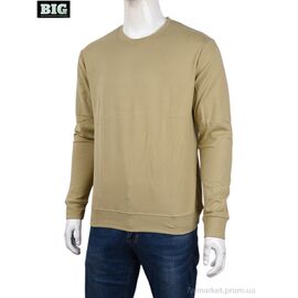 Фотография Кофта мужская Зима 3918-05-4 beige (5 шт. р.сетка XL-5XL) "BIG" недорого оптом от прямого поставщика