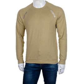 Світшот чоловічий 3918-01-3 р.XL-5XL "BIG clothes" недорого оптом від прямого постачальника