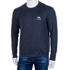 Світшот чоловічий 3918-03-2 р.XL-5XL "BIG clothes" недорого оптом від прямого постачальника