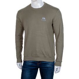 Світшот чоловічий 3918-03-3 р.XL-5XL "BIG clothes" недорого оптом від прямого постачальника