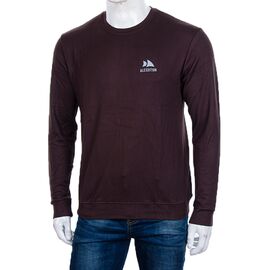 Світшот чоловічий 3918-03-4 р.XL-5XL "BIG clothes" недорого оптом від прямого постачальника