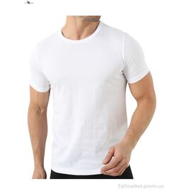 Футболка чоловіча Літо FB0290G white (M) (1 шт. р.сіткаOne size) "NOVA VIDNOVA" недорого оптом від прямого постачальника