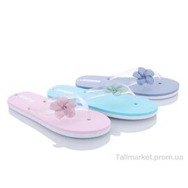 Фотография Шлепки женские облегченные Лето V1407 mix (24 пар р.36-41) "Elmob" недорого оптом от прямого поставщика