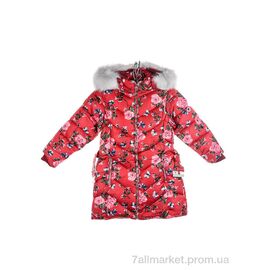 Фотография Куртка детская Зима 2792-8 red (5 шт. р.сетка 8-16) "Мир" недорого оптом от прямого поставщика