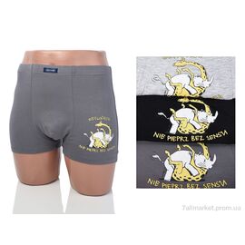 Труси Весна/осінь 3939-9009-2 mix (24 шт. р.сіткаL-3XL) "Мир" недорого оптом від прямого постачальника