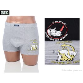 Труси Весна/осінь 3939-9009-1 mix (32 шт. р.сіткаL-3XL) "BIG" недорого оптом від прямого постачальника