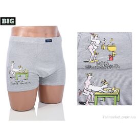 Труси Весна/осінь 3939-9011-1 mix (32 шт. р.сіткаL-3XL) "BIG" недорого оптом від прямого постачальника