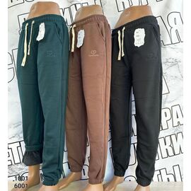 Штани спортивні жіночі теплі 1001 mix р.M-2XL "VICTORY" недорого оптом від прямого постачальника