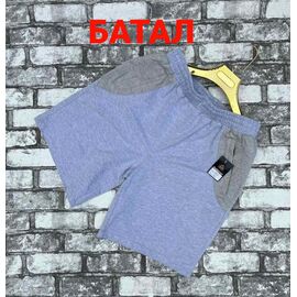 Шорти чоловічі 053 l.blue р.2XL-6XL "VICTORY" недорого оптом від прямого постачальника