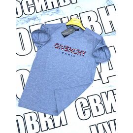 Футболка чоловіча SS38 grey р.S-2XL "VICTORY" недорого оптом від прямого постачальника