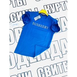 Футболка чоловіча SS40 l.blue р.S-2XL "VICTORY" недорого оптом від прямого постачальника