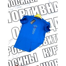 Футболка чоловіча SS53 l.blue р.S-2XL "VICTORY" недорого оптом від прямого постачальника