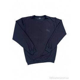 Батник чоловічий Весна/осінь 90 синій (7 шт. р.сіткаM-3XL) "Verton" недорого оптом від прямого постачальника