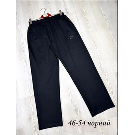Штани спортивні чоловічі N01 black р.46-54 "VICTORY" недорого оптом від прямого постачальника