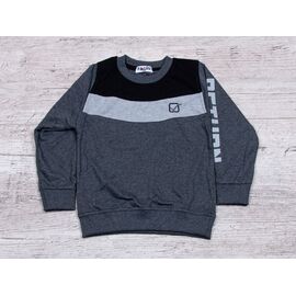 Фотография Свитшот детский на мальчика 806 grey р.2-5 "Rain" недорого оптом от прямого поставщика