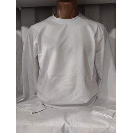 Светр чоловічий 1576 white р.S-2XL "RING" недорого оптом від прямого постачальника