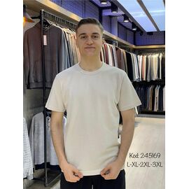 Фотография Футболка мужская 245169 beige р.L-3XL "Vip Stendo" недорого оптом от прямого поставщика