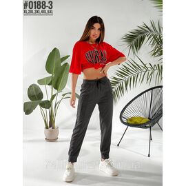 Жіночі штани джогери розмірний ряд xl,2xl, 3xl, 4xl,5xl "PARTNERS" недорого від прямого постачальника