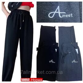 Фотография Спортивные штаны женские, на манжете р-ры 2XL-4XL (микс цв)"STELLA" недорого от прямого поставщика