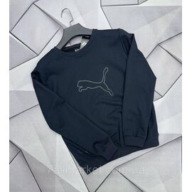 Батник чоловічий стильний PUMA розміри S-2XL (4кв) "MACCALI" купити недорого від прямого постачальника